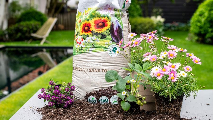 Le terreau sans tourbe devient la norme